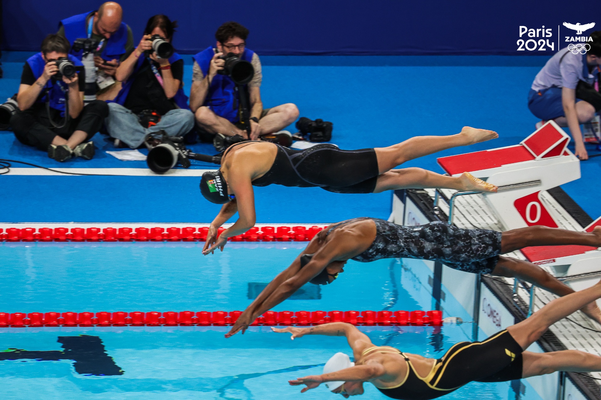 Swimming Competition - Athletes diving into action at the Paris 2024 Olympic aquatics center